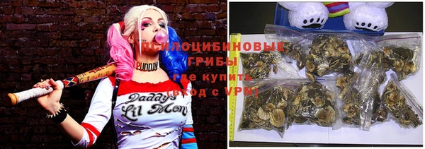 spice Волоколамск