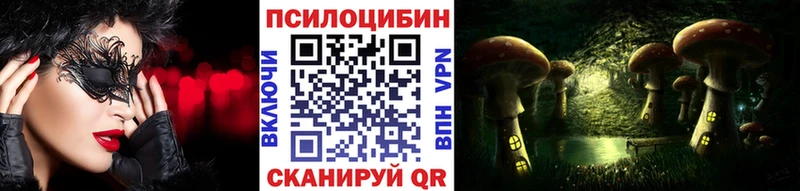 Купить закладки Майский Галлюциногенные грибы Psilocybine cubensis